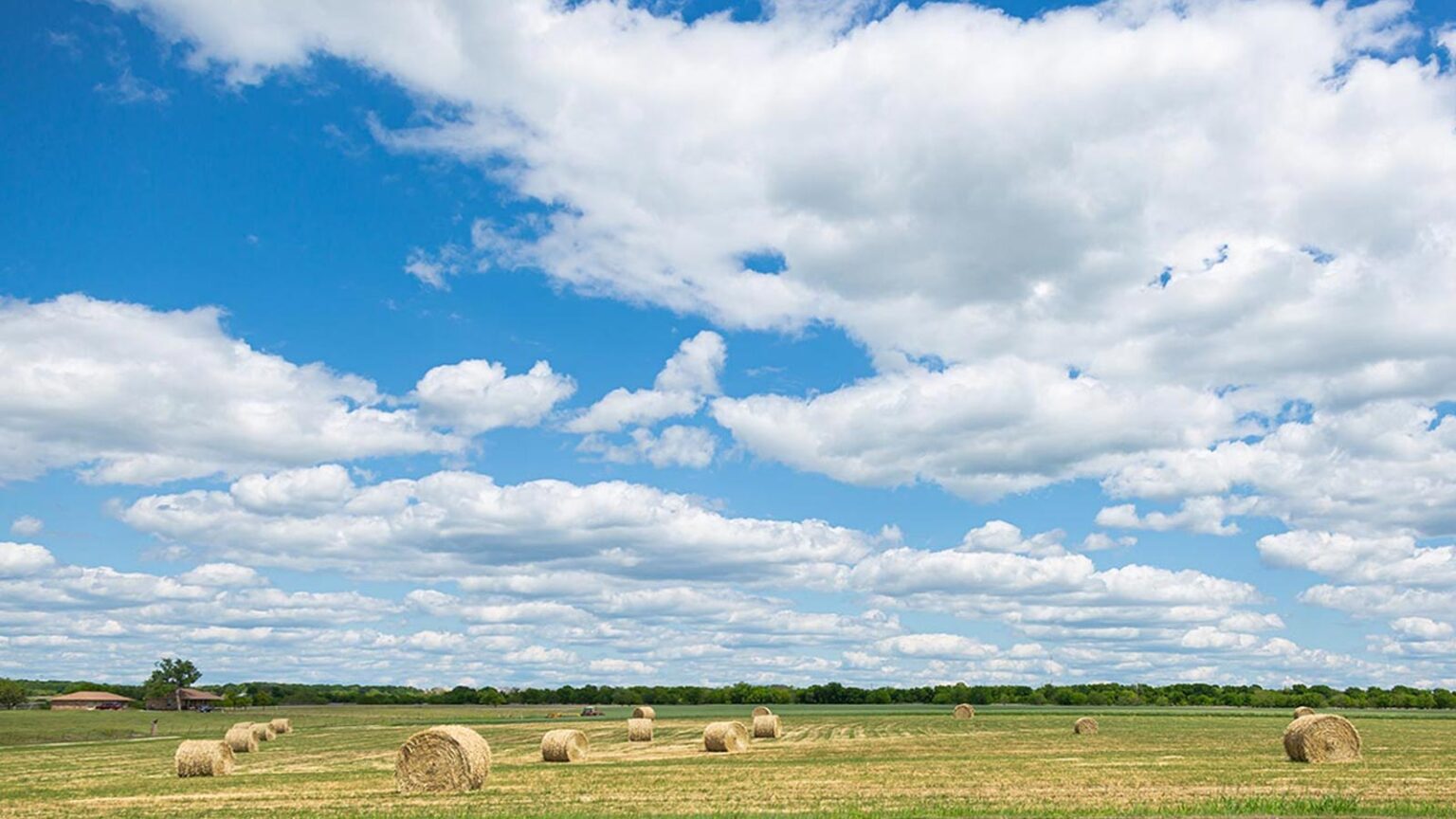 Cross Creek Meadows